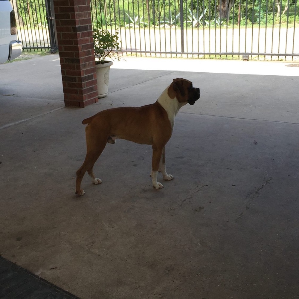 Meet your Posher, Mireya